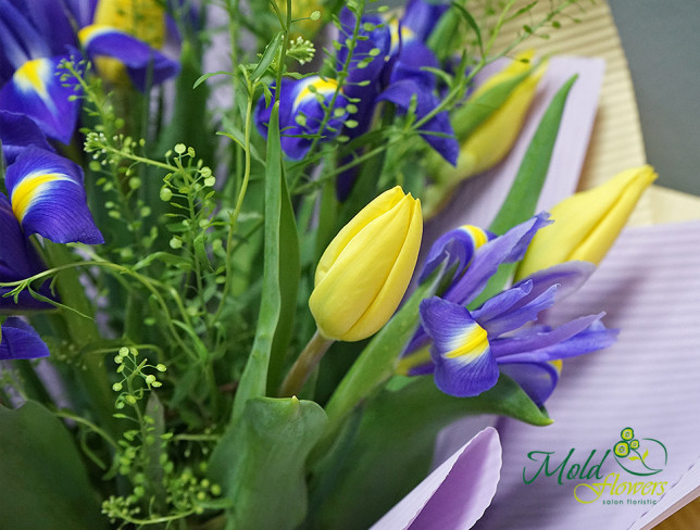 Bouquet of yellow tulips and irises photo